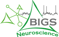 BIGS Neurosciences