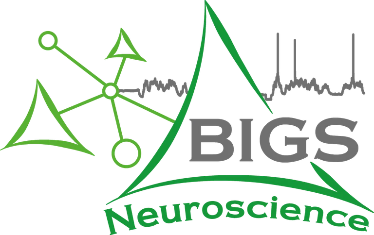 BIGS Neurosciences